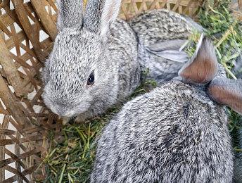 《侠之道》第三年内容更新将于2022年Q1上线